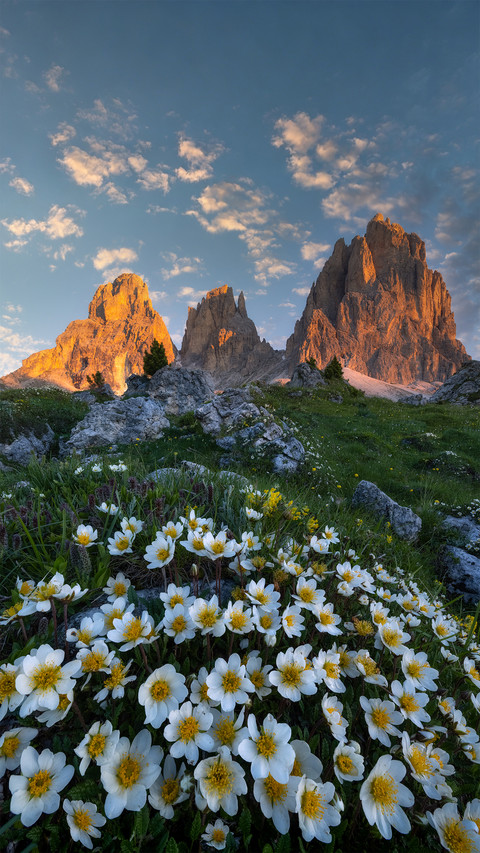 The summer scroll of dolomites screenshot