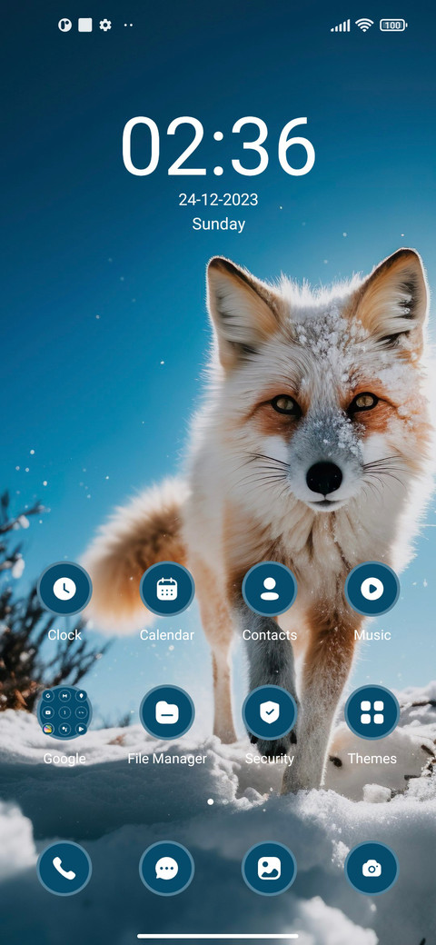 Fox Winter screenshot