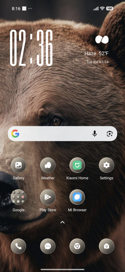Bear screenshot