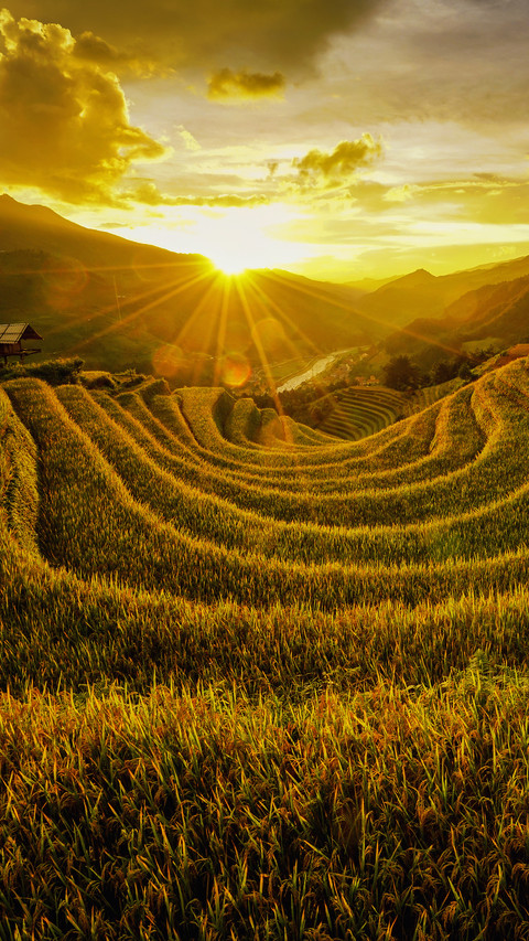 Photographers capture vietnams stunning terraced fields screenshot