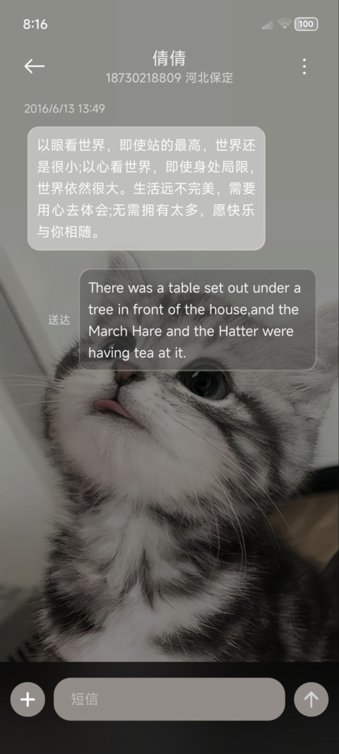 小猫拯救世界氛围感 screenshot