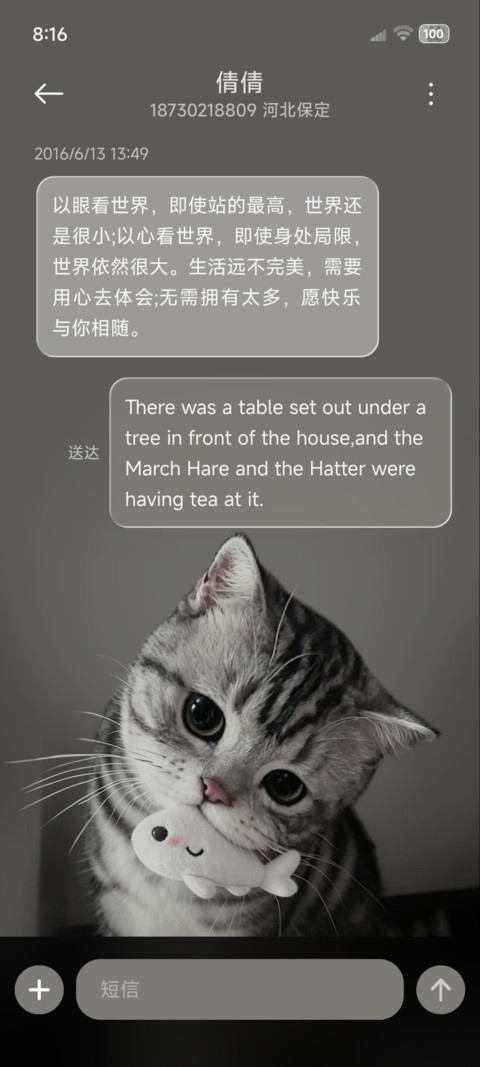 ins重感 呆呆小猫 screenshot