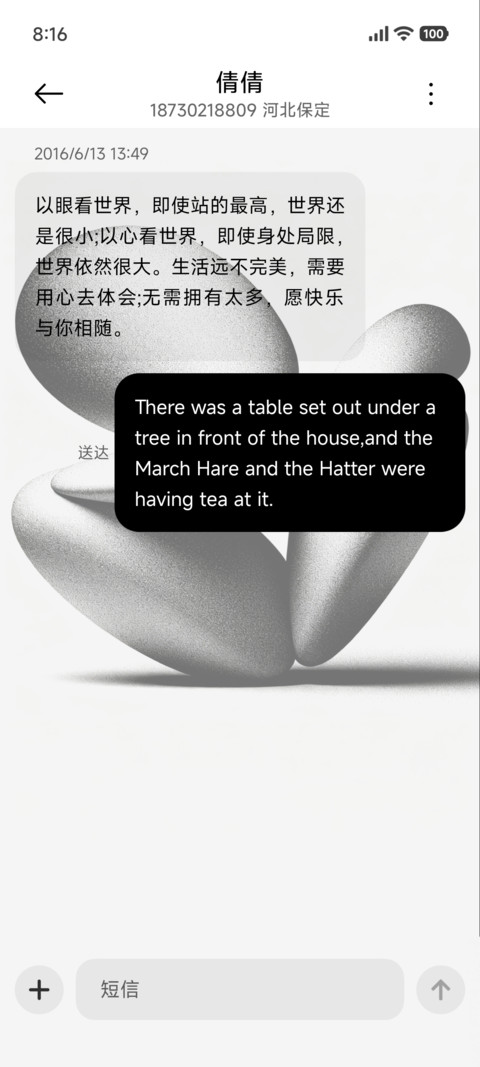 黑与白 screenshot