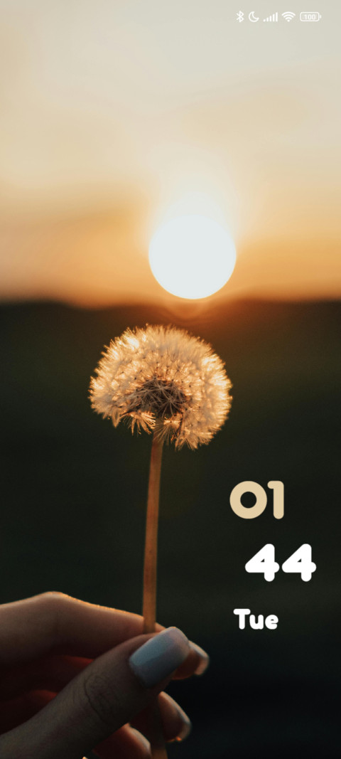 Dandelion screenshot