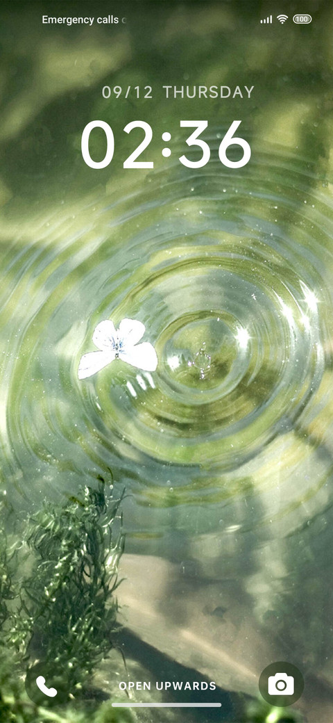 Butterfly screenshot