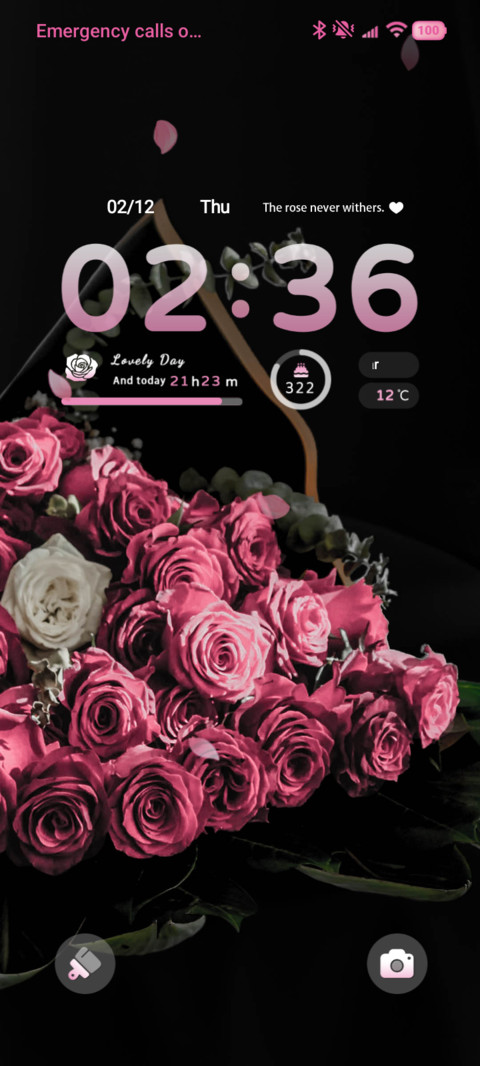 Night Rose screenshot