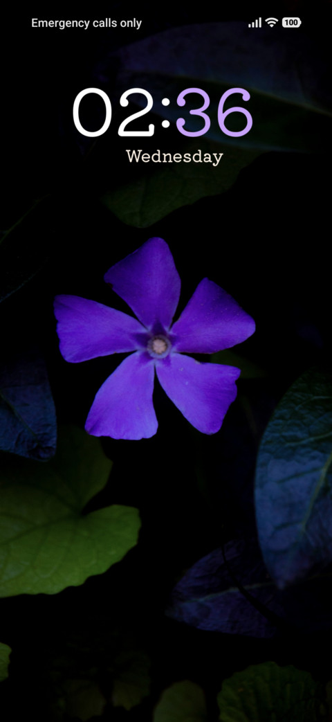 Purple Serenity screenshot
