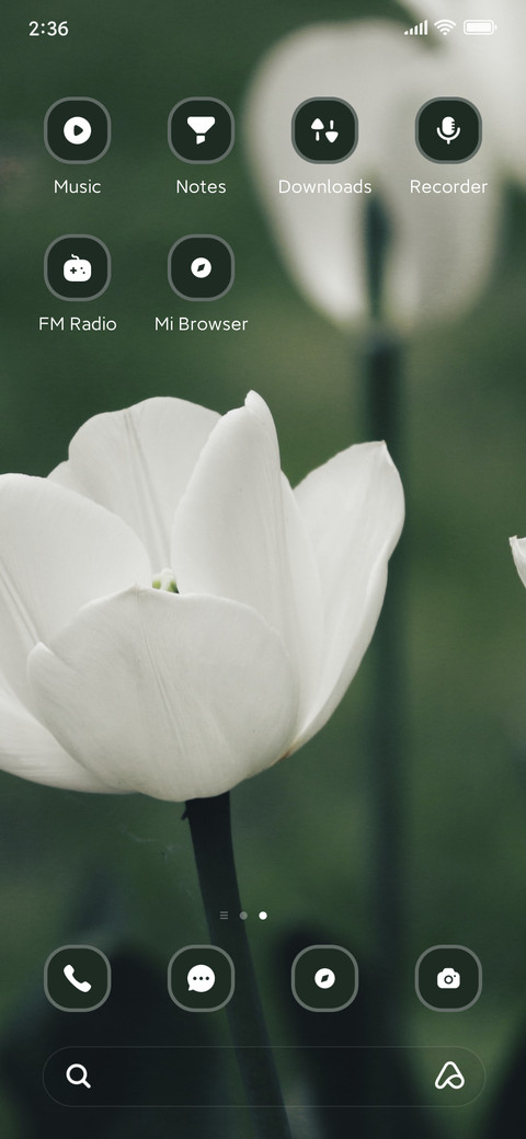 Tulips screenshot