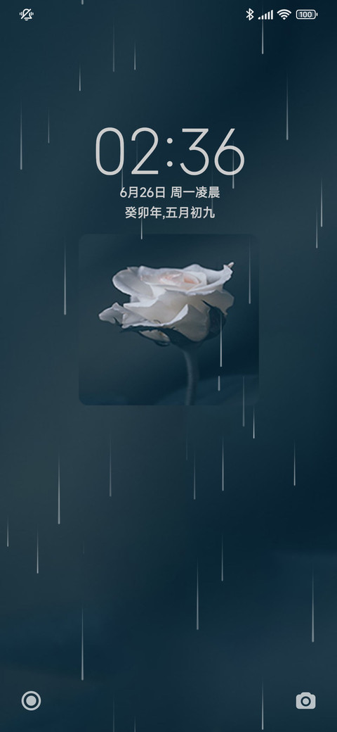 玫瑰花开 screenshot