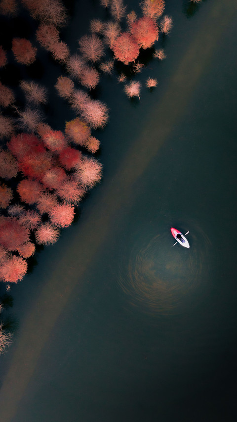 Discover the beauty of Nanjing 29 screenshot