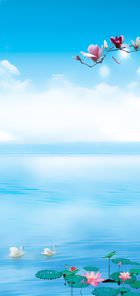 天鹅湖 screenshot
