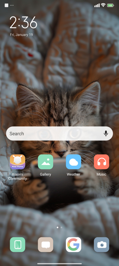 Playful Cat screenshot