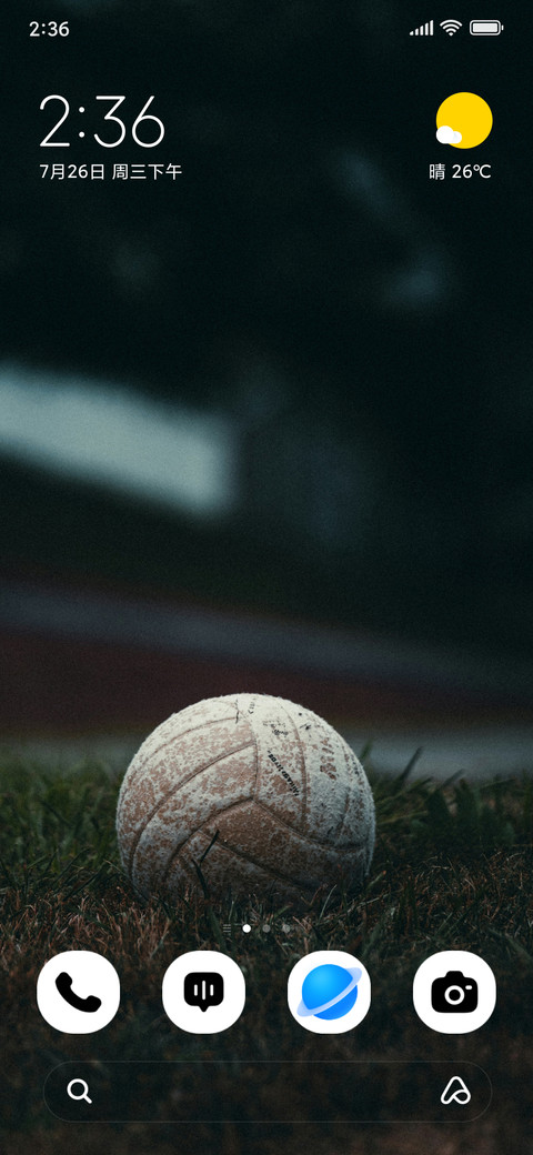 Grass Goal screenshot