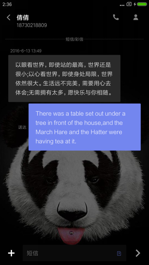 大熊猫 screenshot
