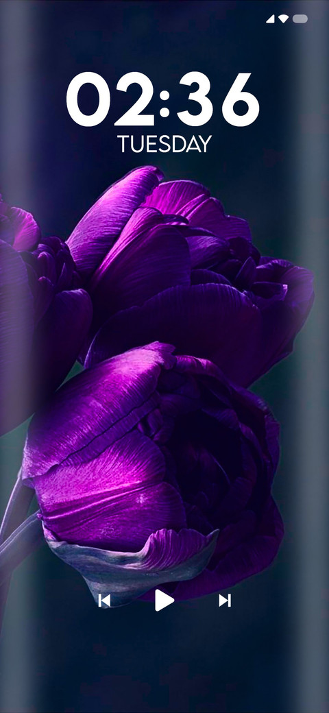 Purple Tulip screenshot