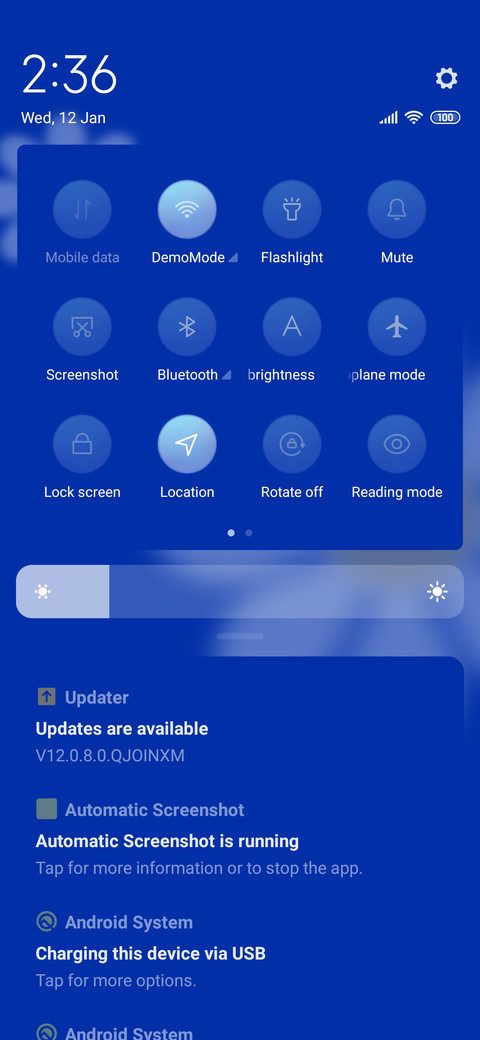 Beautiful Flower screenshot