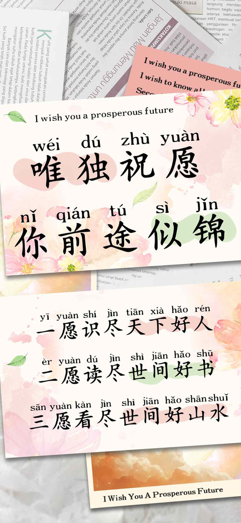 唯独祝愿你前途似锦 screenshot