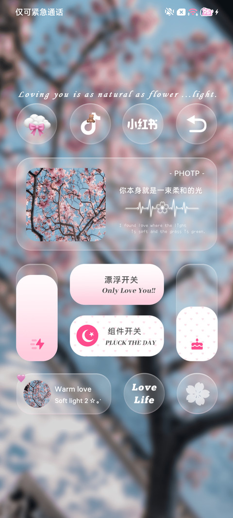 ins花与果实与风 screenshot