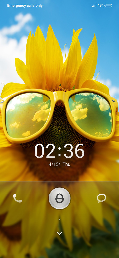 Sunflower ti screenshot