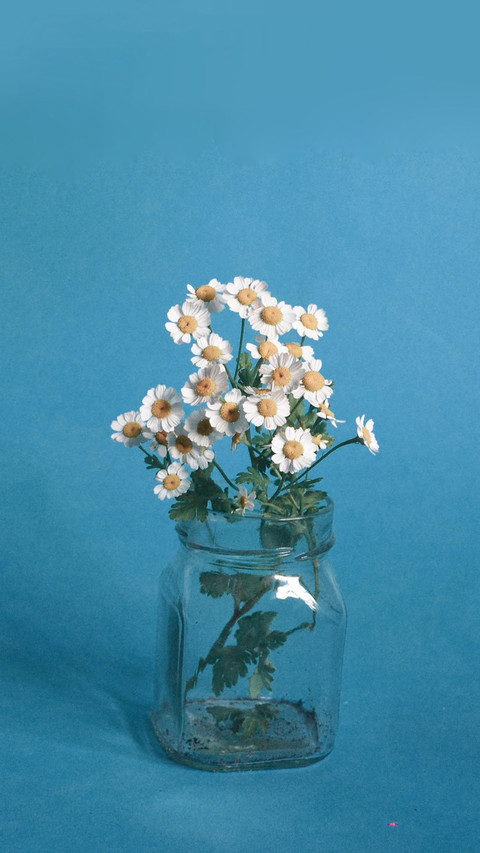 Vase screenshot