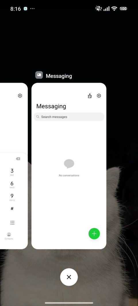 Cat screenshot