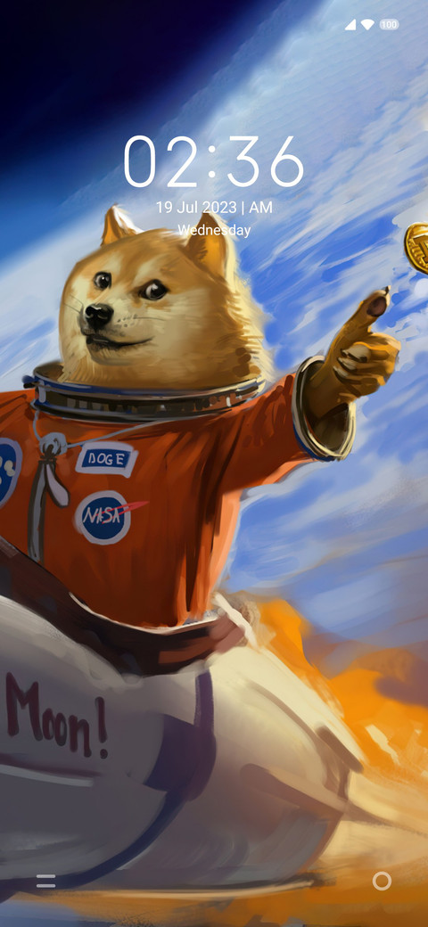 DOGE Galaxy screenshot