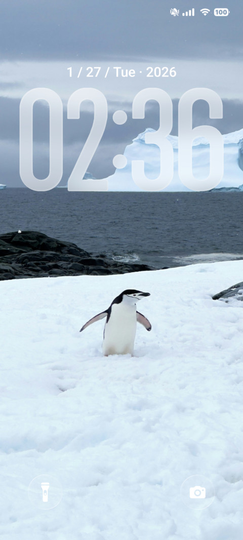 Lone Penguin screenshot