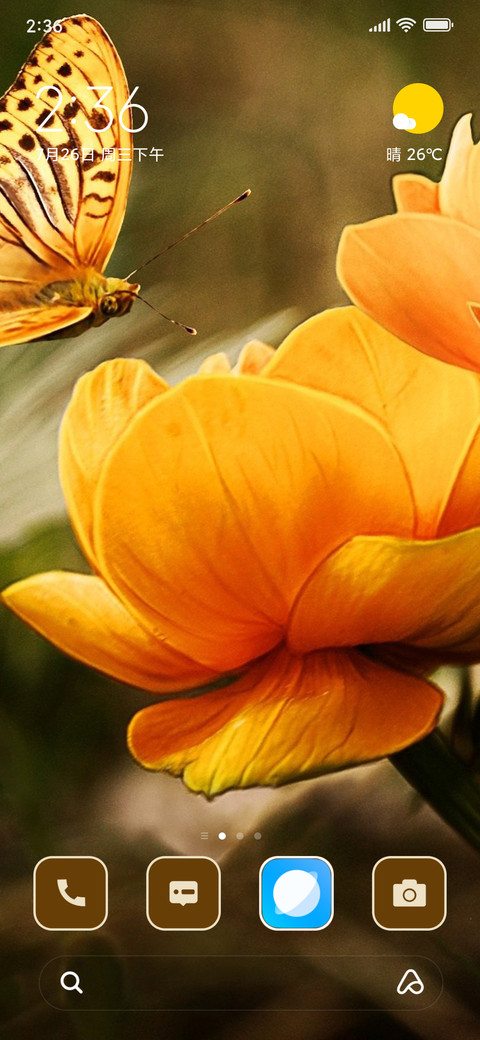 lily screenshot