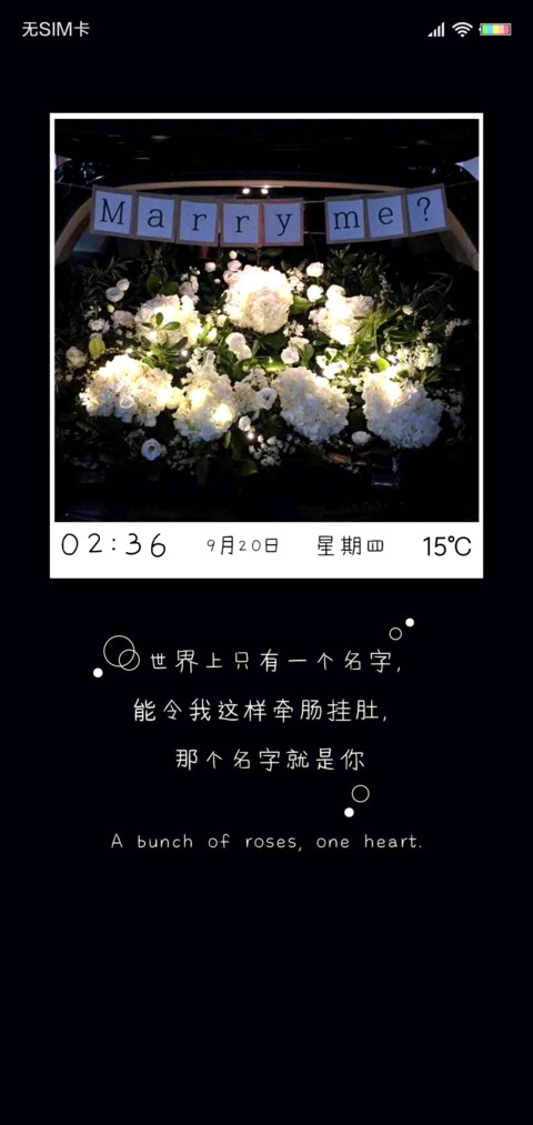 一束玫瑰 一颗真心 screenshot