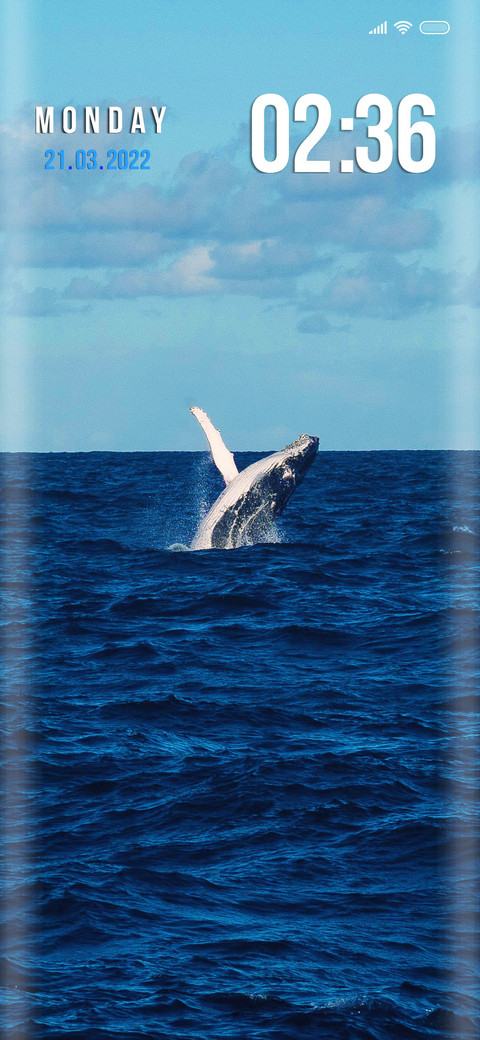 Whale si screenshot
