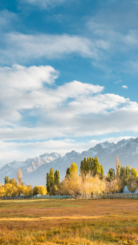 Lingering in the autumn of xinjiang 2 screenshot
