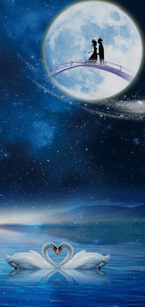 白天鹅 screenshot