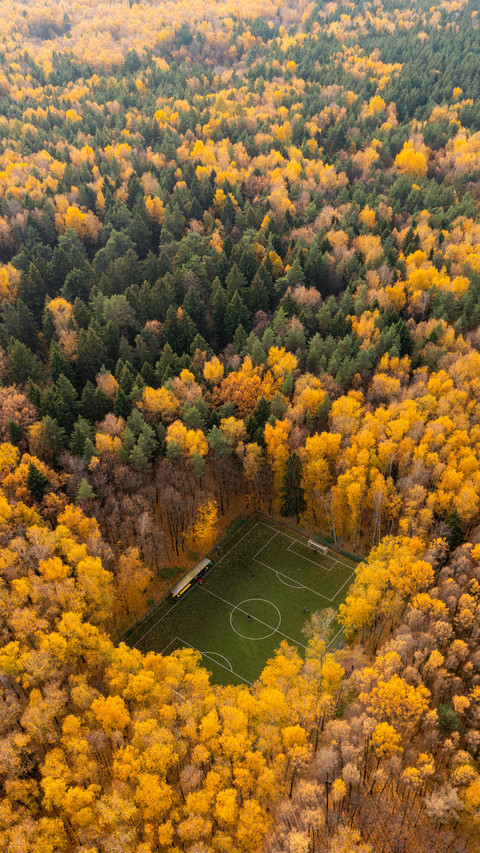 Cosy Football Stadium Hidden among Colorful Forest screenshot