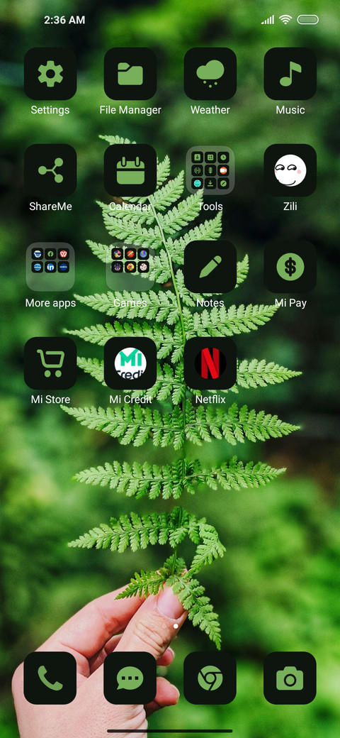 Handy Leaf screenshot
