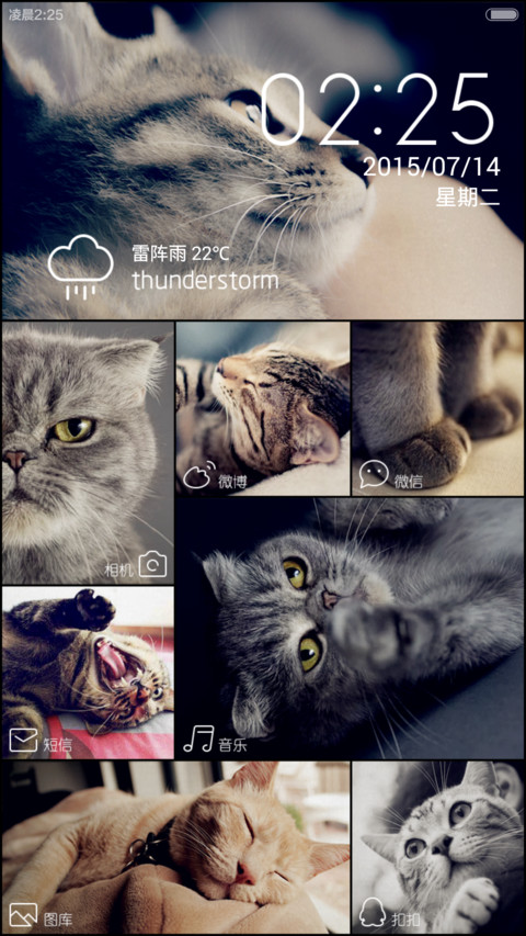 愿做你的铲屎官 screenshot
