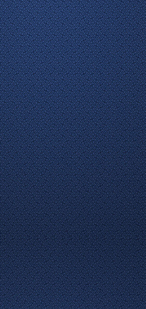琵琶琴 screenshot