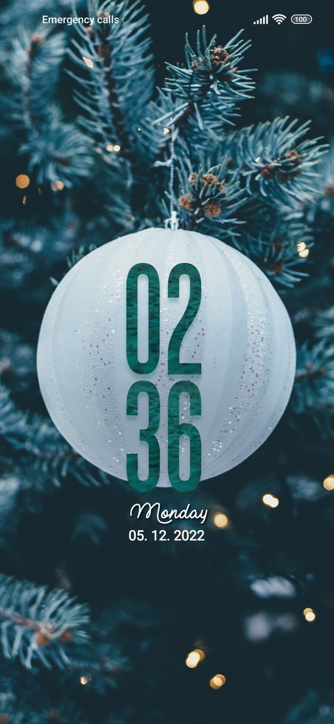 Christmas Fine screenshot