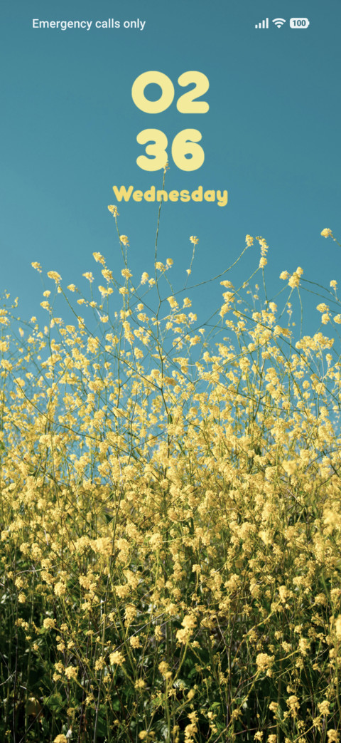 Yellow Plant screenshot