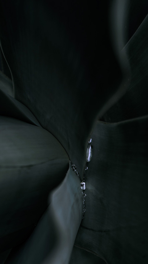 雨露清明 (2) screenshot