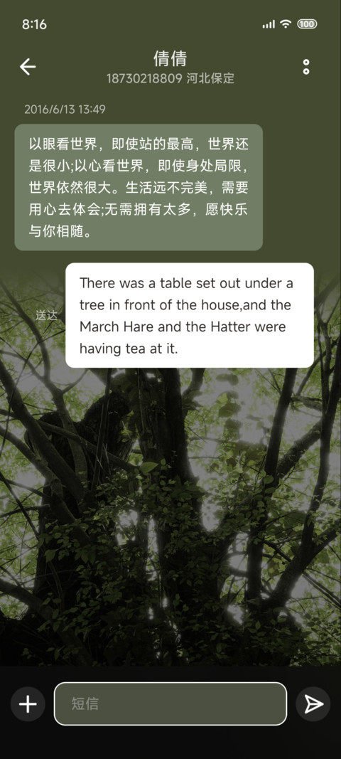 树影摇碎 绿意斑驳 screenshot