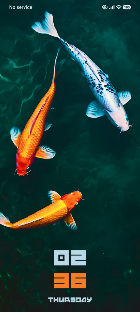 Koi Fish screenshot