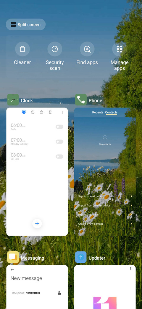 Seaside flower screenshot