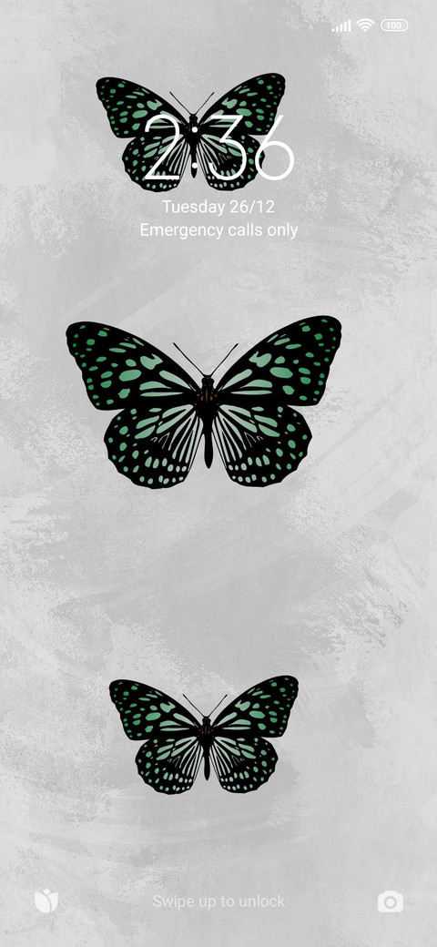Black butterfly screenshot