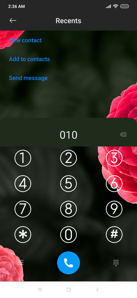 Red Rose_DWM20 screenshot