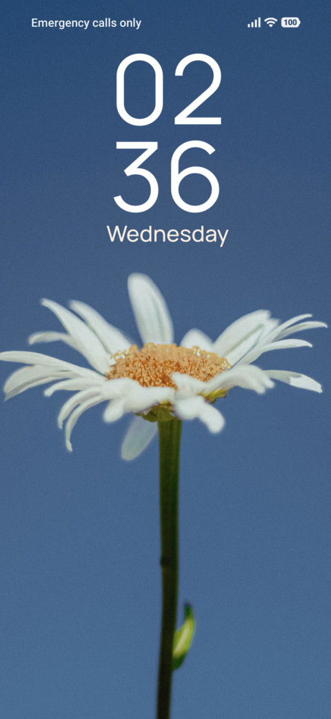 Sky Daisy screenshot