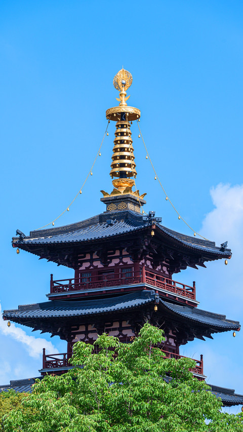 One day tour guide to hanshan temple screenshot