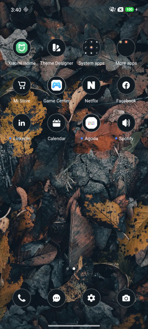Dry Leaf screenshot
