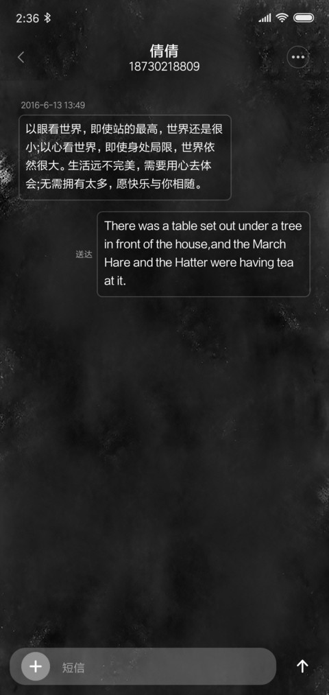 素黑 screenshot