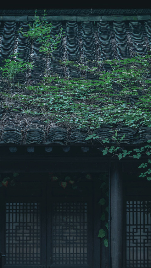 走进鲁迅的“故乡” screenshot