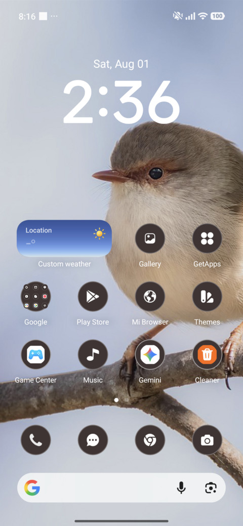 Soft Robin screenshot